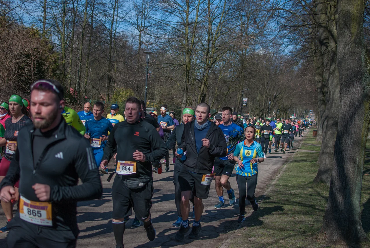Bieg wiosenny mojchorzow (87)
