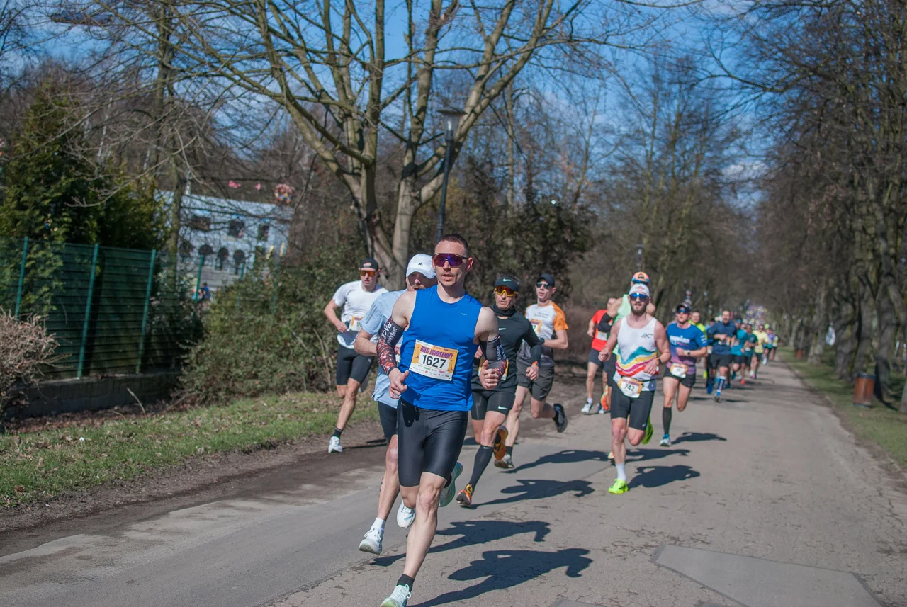 Bieg wiosenny mojchorzow (9)