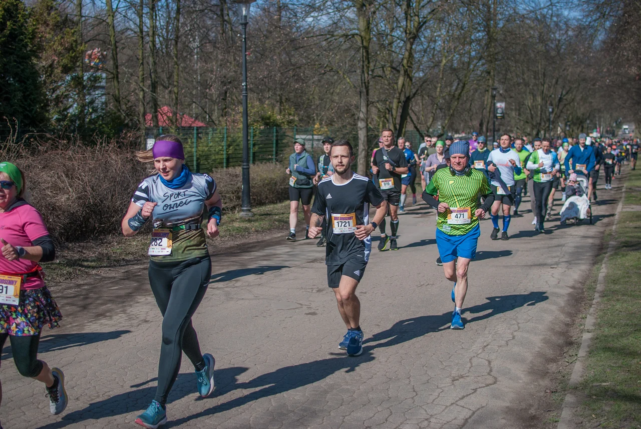 Bieg wiosenny mojchorzow (95)