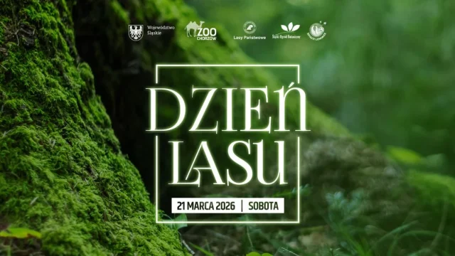 Dzień Lasu w Śląskim ZOO – wspólne świętowanie wśród przyrody