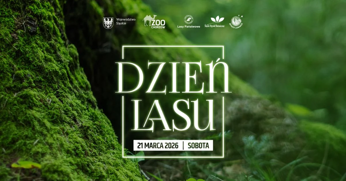 Dzień Lasu w Śląskim ZOO – wspólne świętowanie wśród przyrody