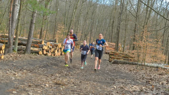 Panewnicki Dziki Bieg - marzec 2026