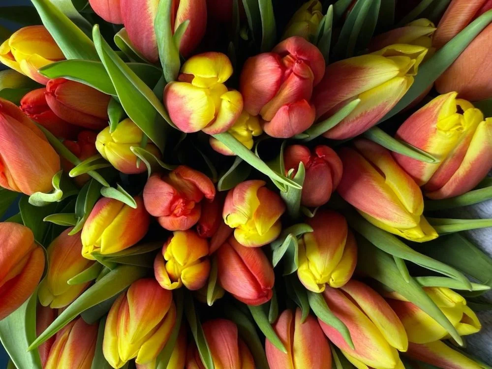 Wiosenne trendy florystyczne w Polsce: Co będzie modne w 2026 roku?