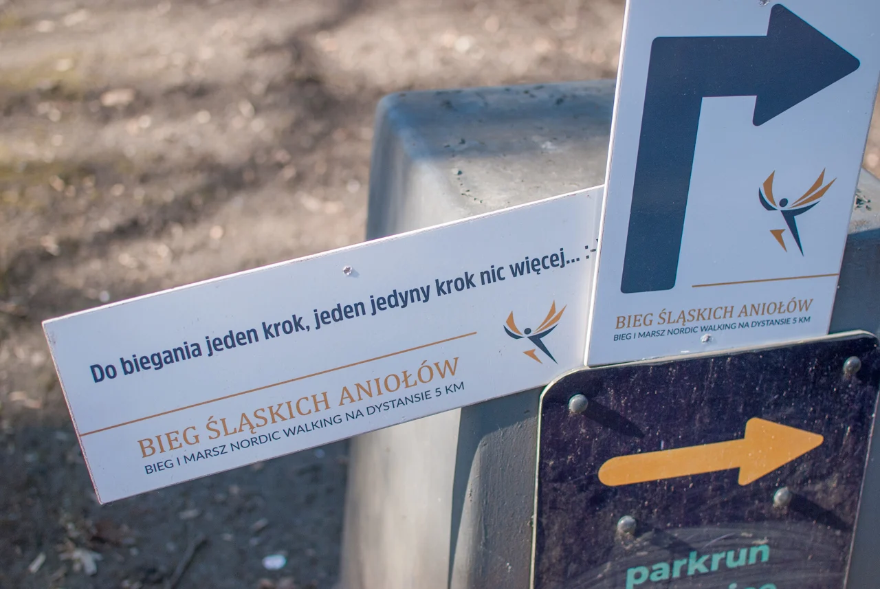 XII Bieg Śląskich Aniołów (97)