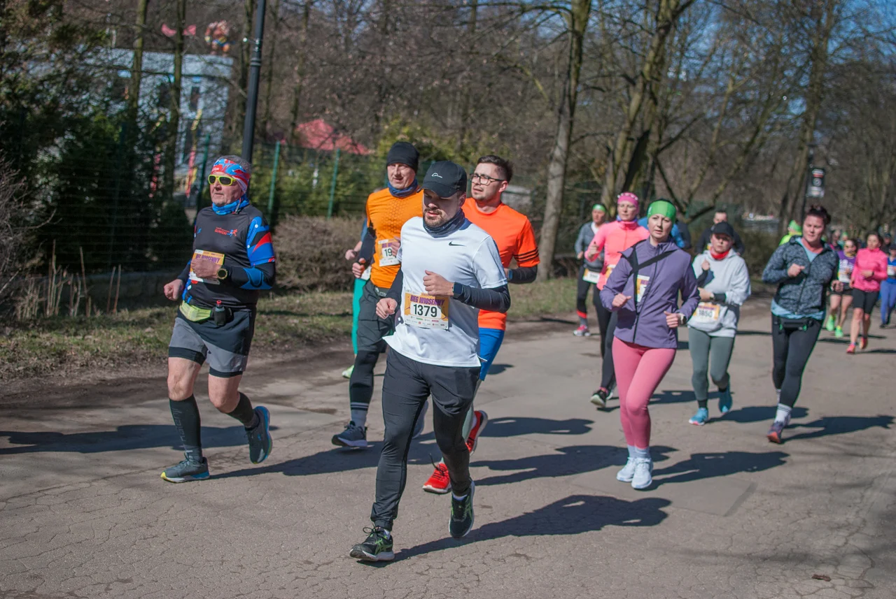 Za nami Bieg Wiosenny w Parku Śląskim 2026 (101)