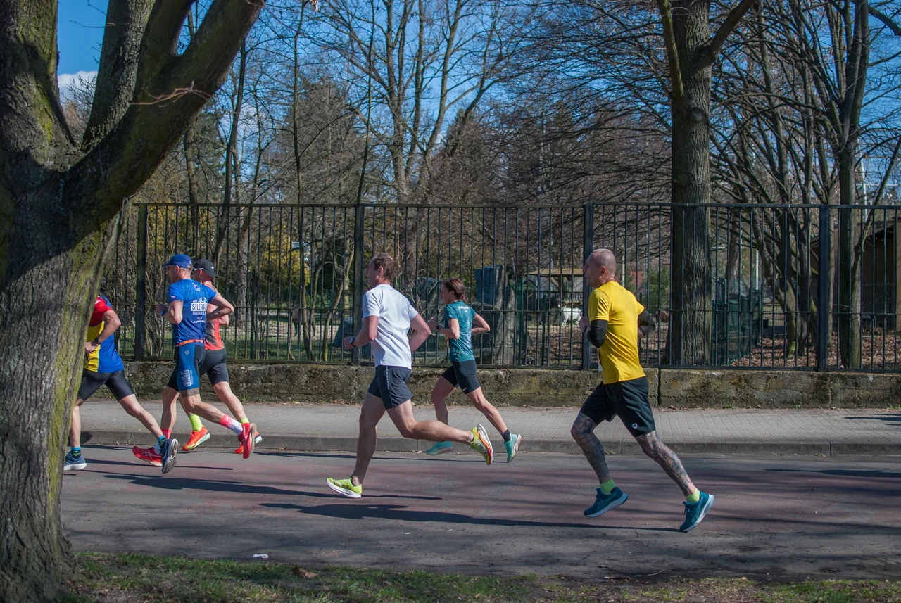 Za nami Bieg Wiosenny w Parku Śląskim 2026 (121)