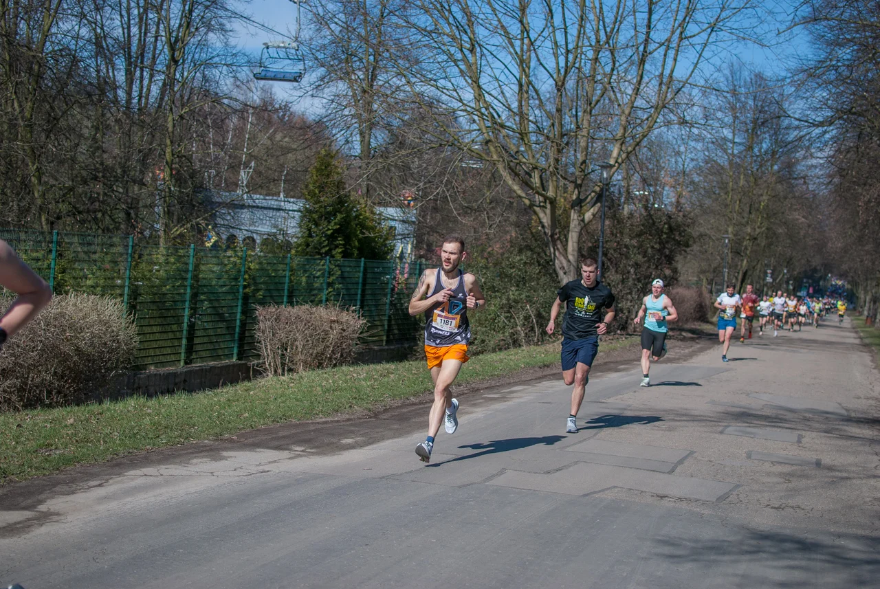 Za nami Bieg Wiosenny w Parku Śląskim 2026 (2)