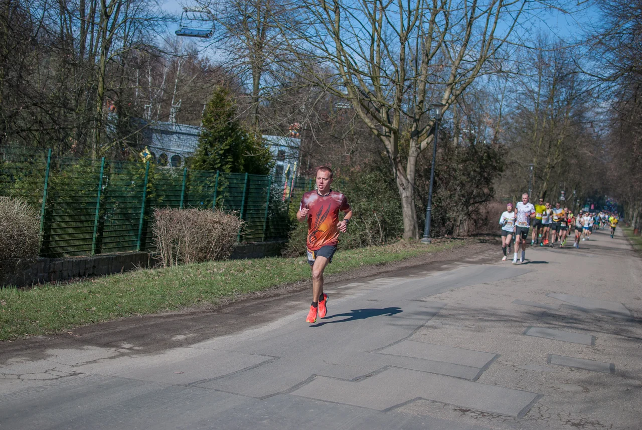 Za nami Bieg Wiosenny w Parku Śląskim 2026 (4)