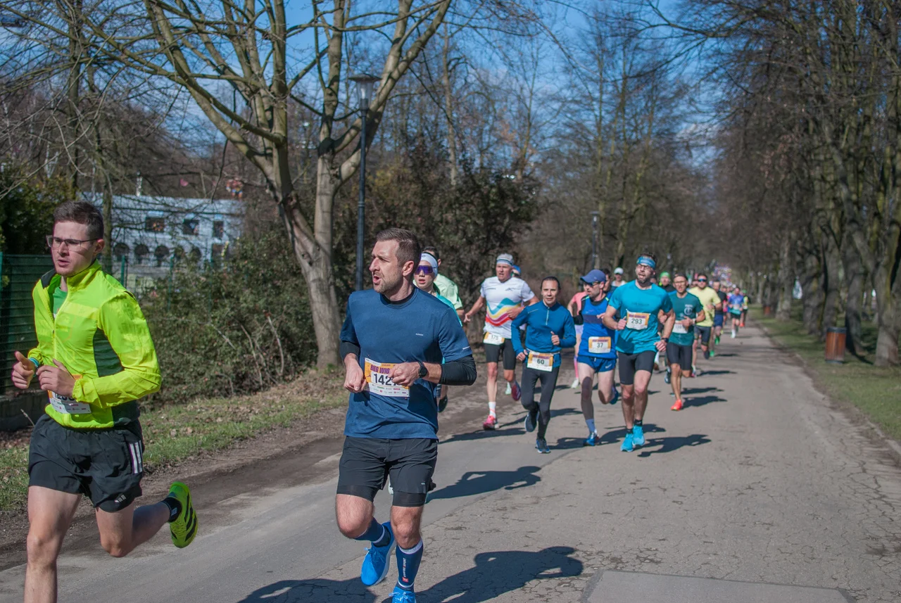 Za nami Bieg Wiosenny w Parku Śląskim 2026 (9)