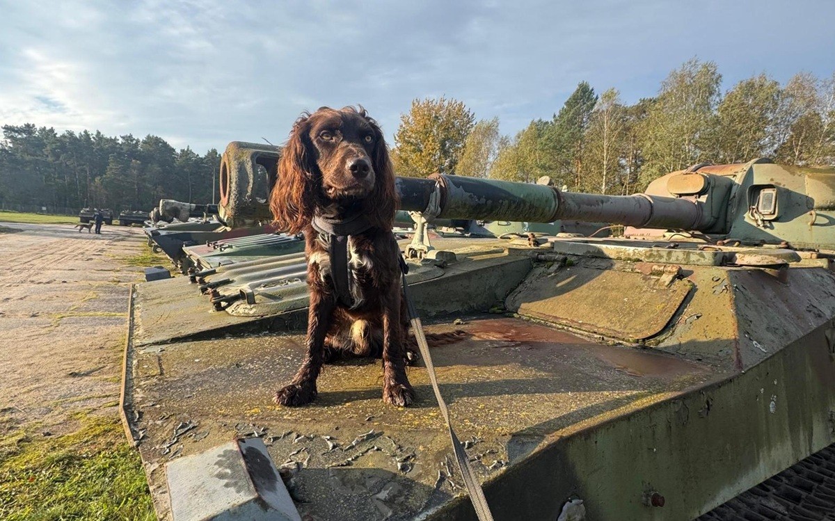 Psi agent zasilił szeregi Aresztu Śledczego w Gliwicach