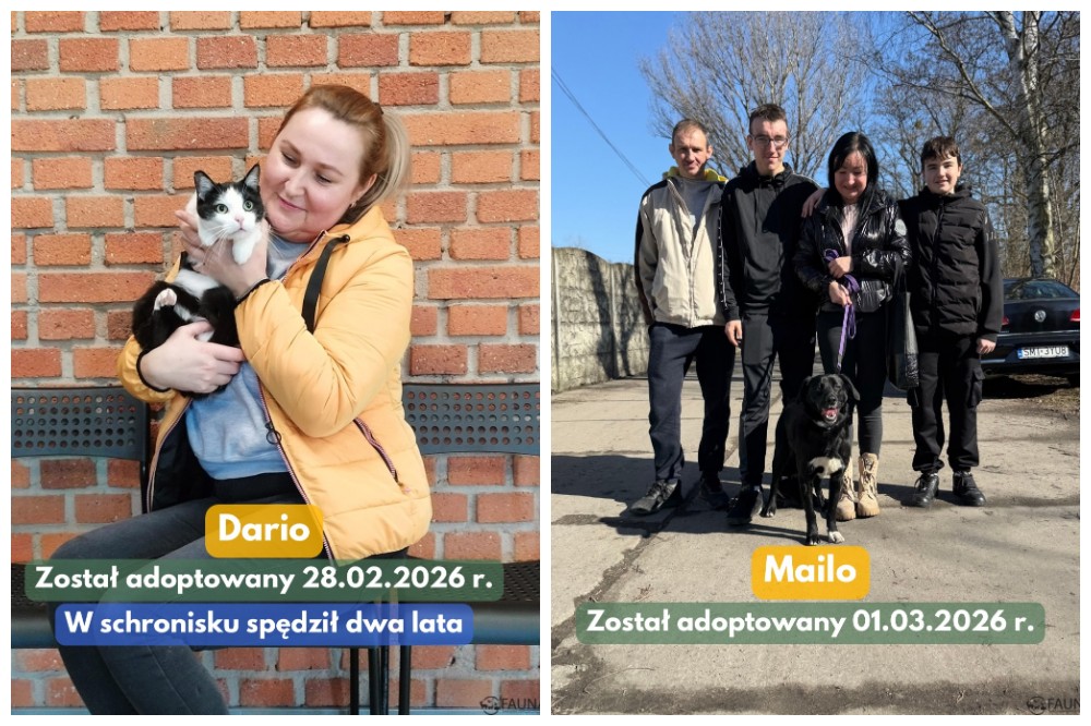 Adopcyjne podsumowanie tygodnia – kolejni podopieczni „Fauny” w nowych domach!