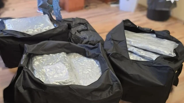 Gliwiccy kryminalni przejęli blisko 63 kilogramy narkotyków