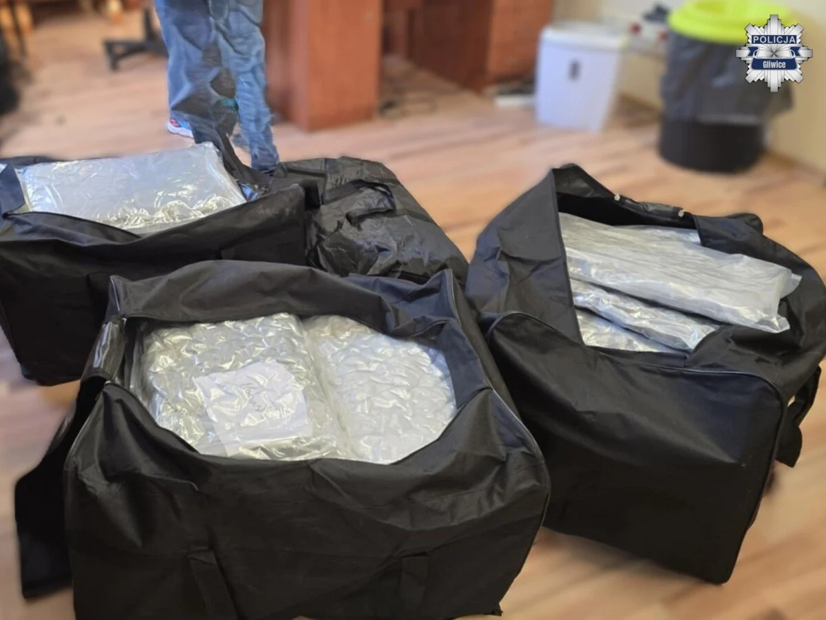 Gliwiccy kryminalni przejęli blisko 63 kilogramy narkotyków