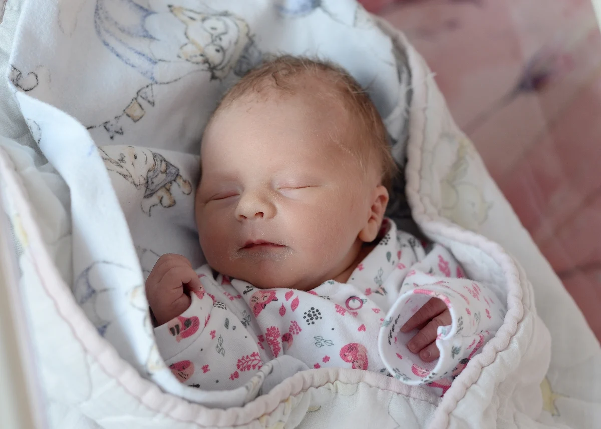 Witamy najmłodszych mieszkańców Rudy Śląskiej! Sprawdź galerię zdjęć maluchów z marca 2026