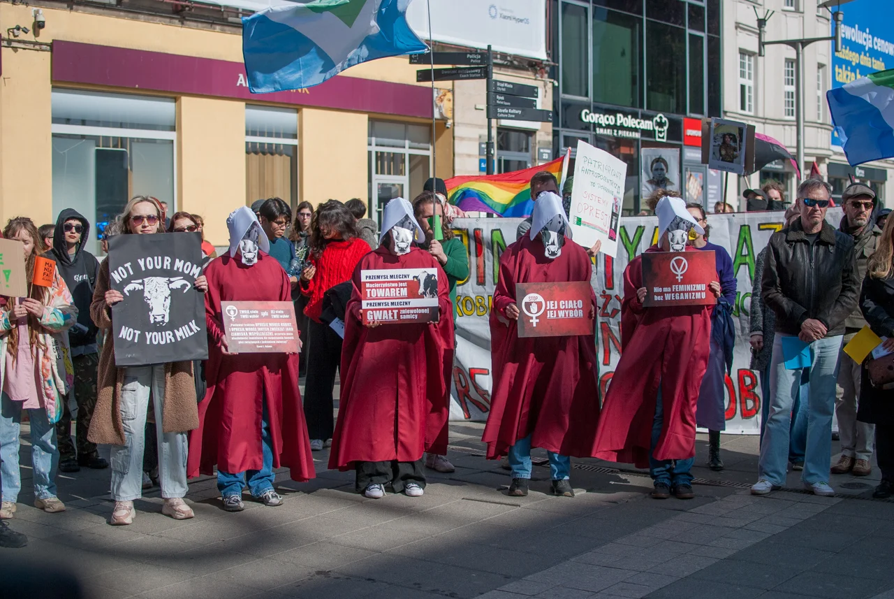 śląska manifa 2026 (105)