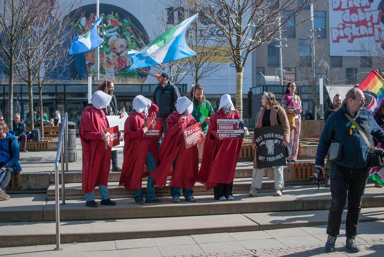 śląska manifa 2026 (16)