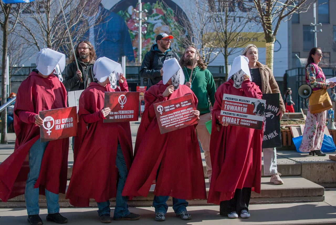 śląska manifa 2026 (17)