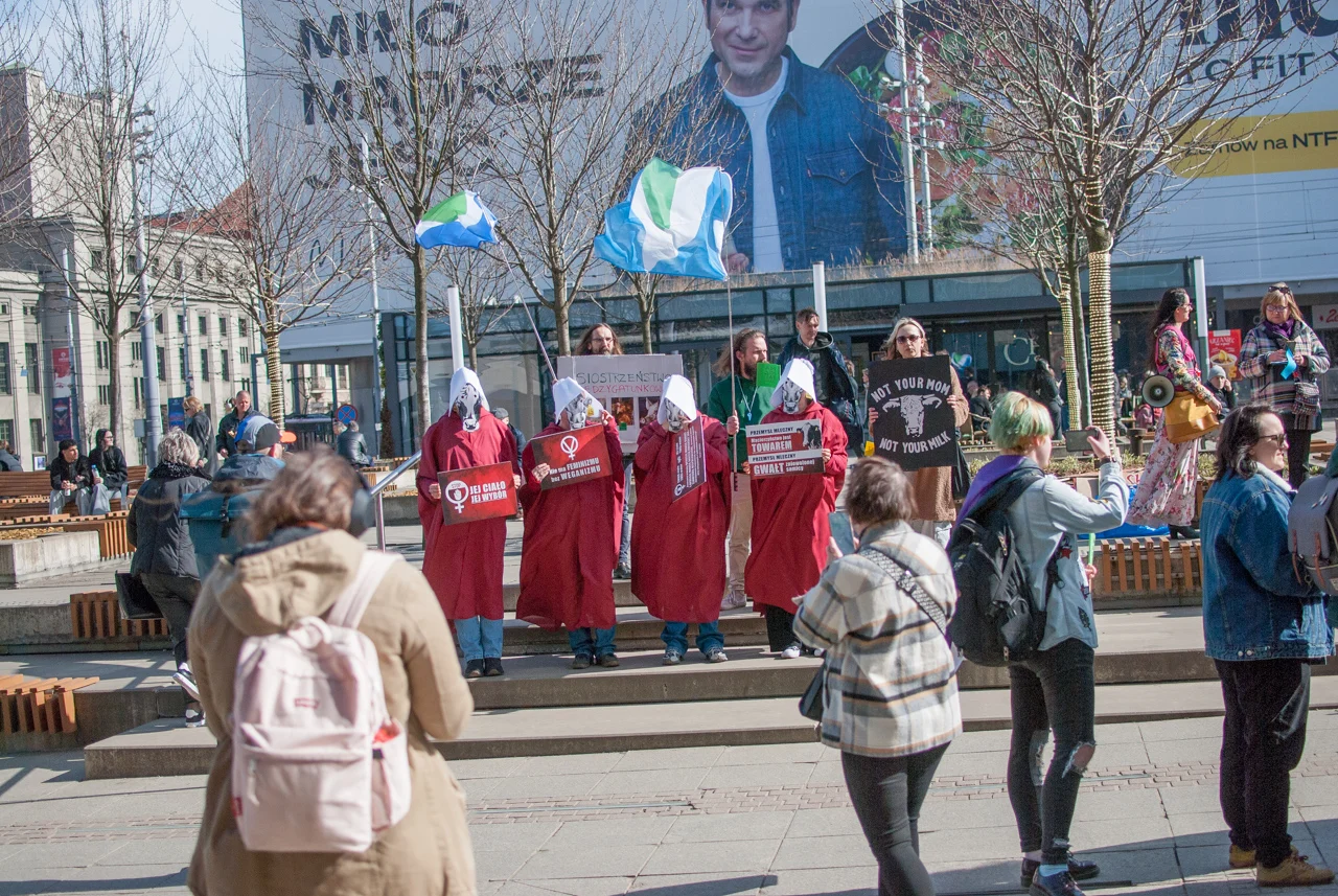 śląska manifa 2026 (19)