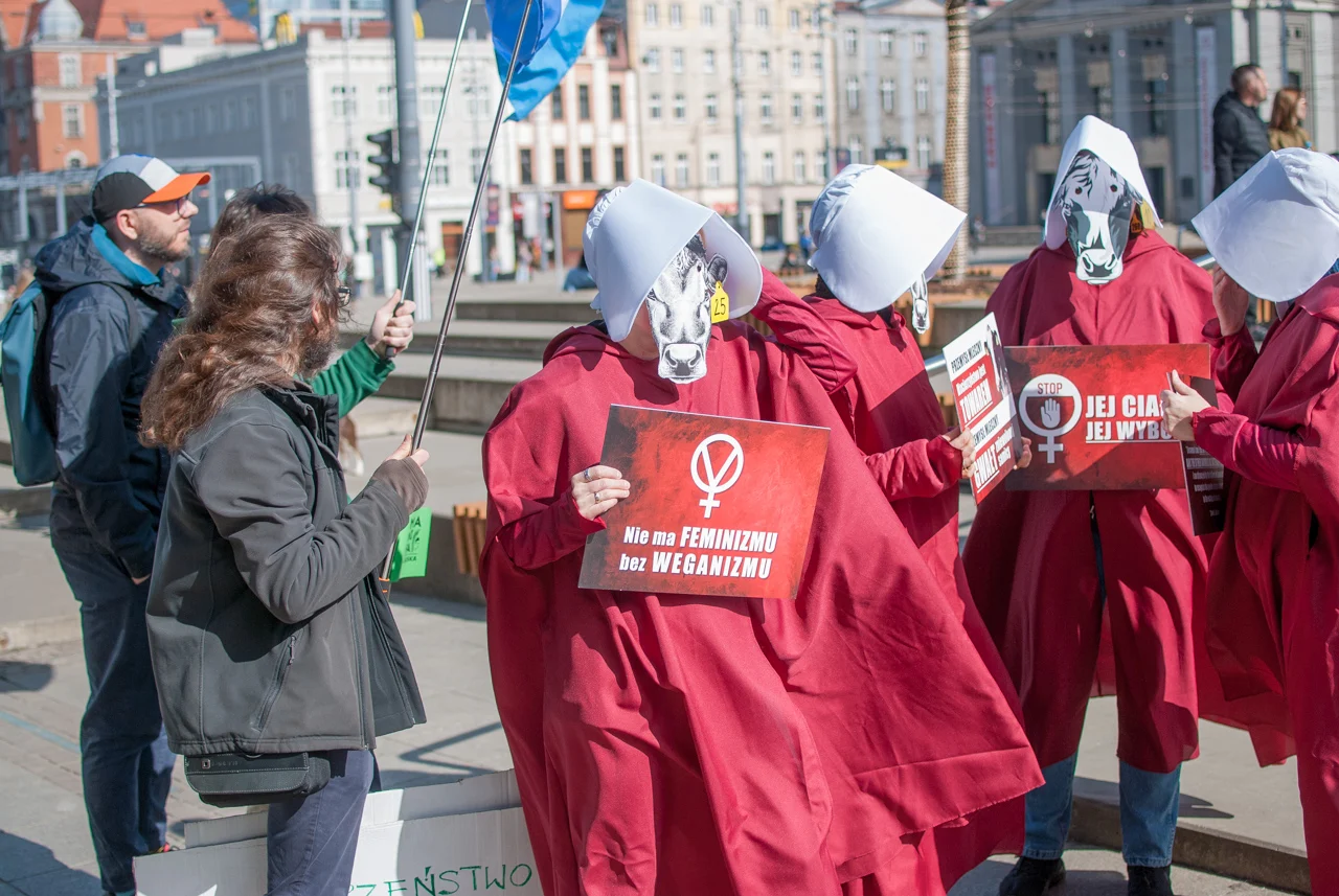 śląska manifa 2026 (2)