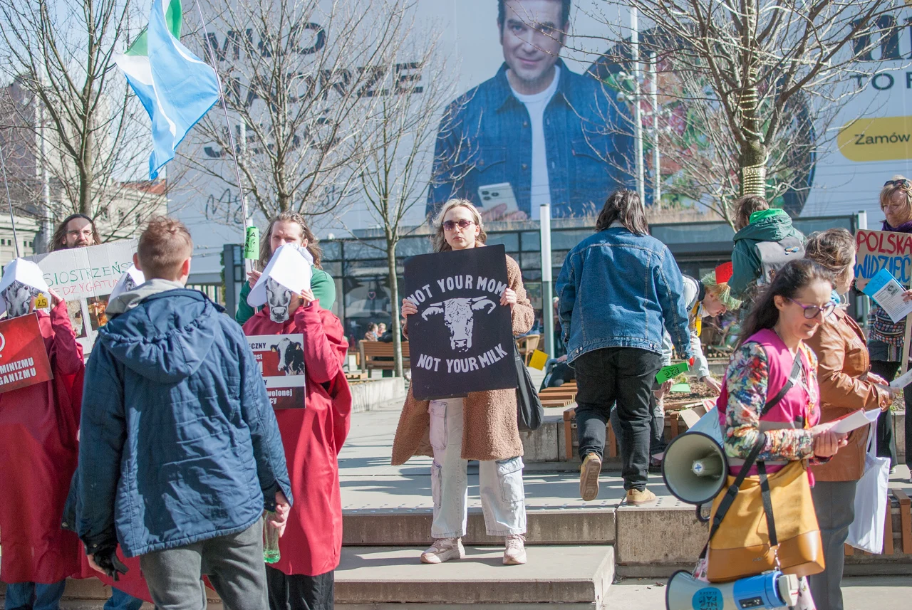 śląska manifa 2026 (23)