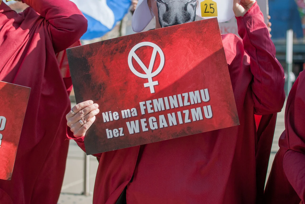 śląska manifa 2026 (27)