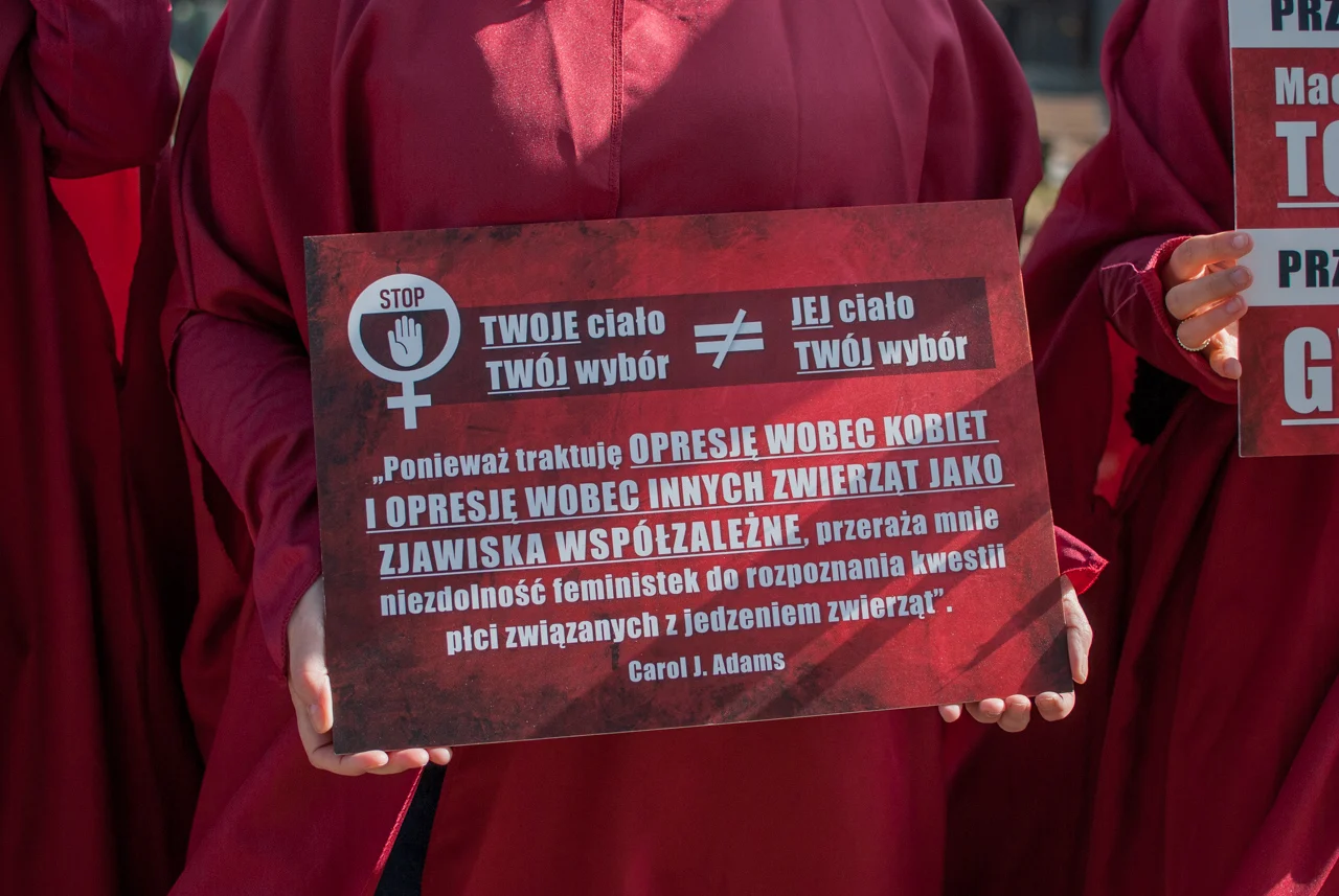 śląska manifa 2026 (28)