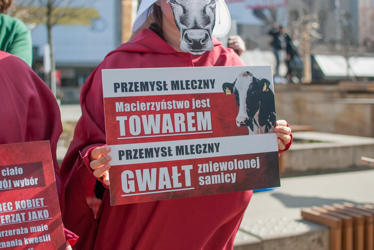 śląska manifa 2026 (29)