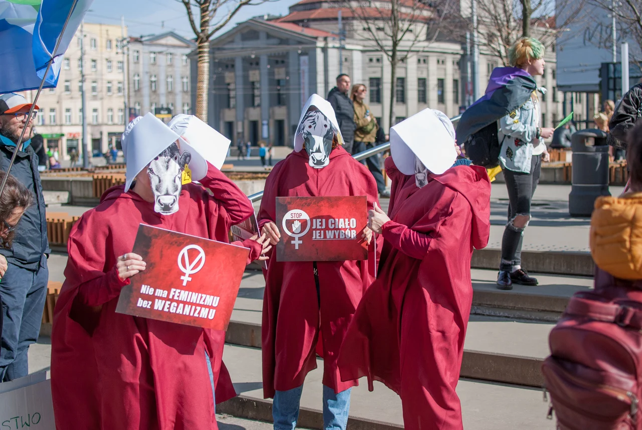 śląska manifa 2026 (3)