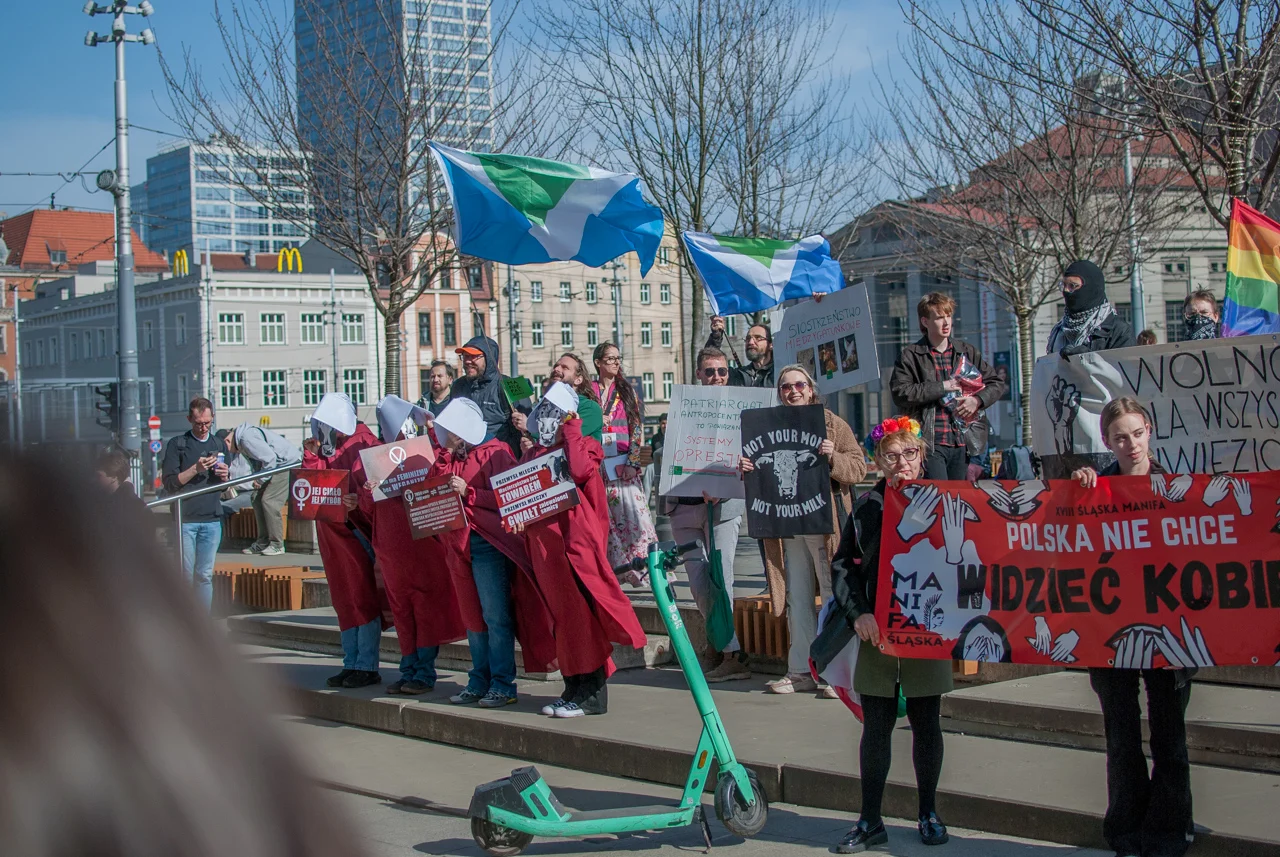 śląska manifa 2026 (41)