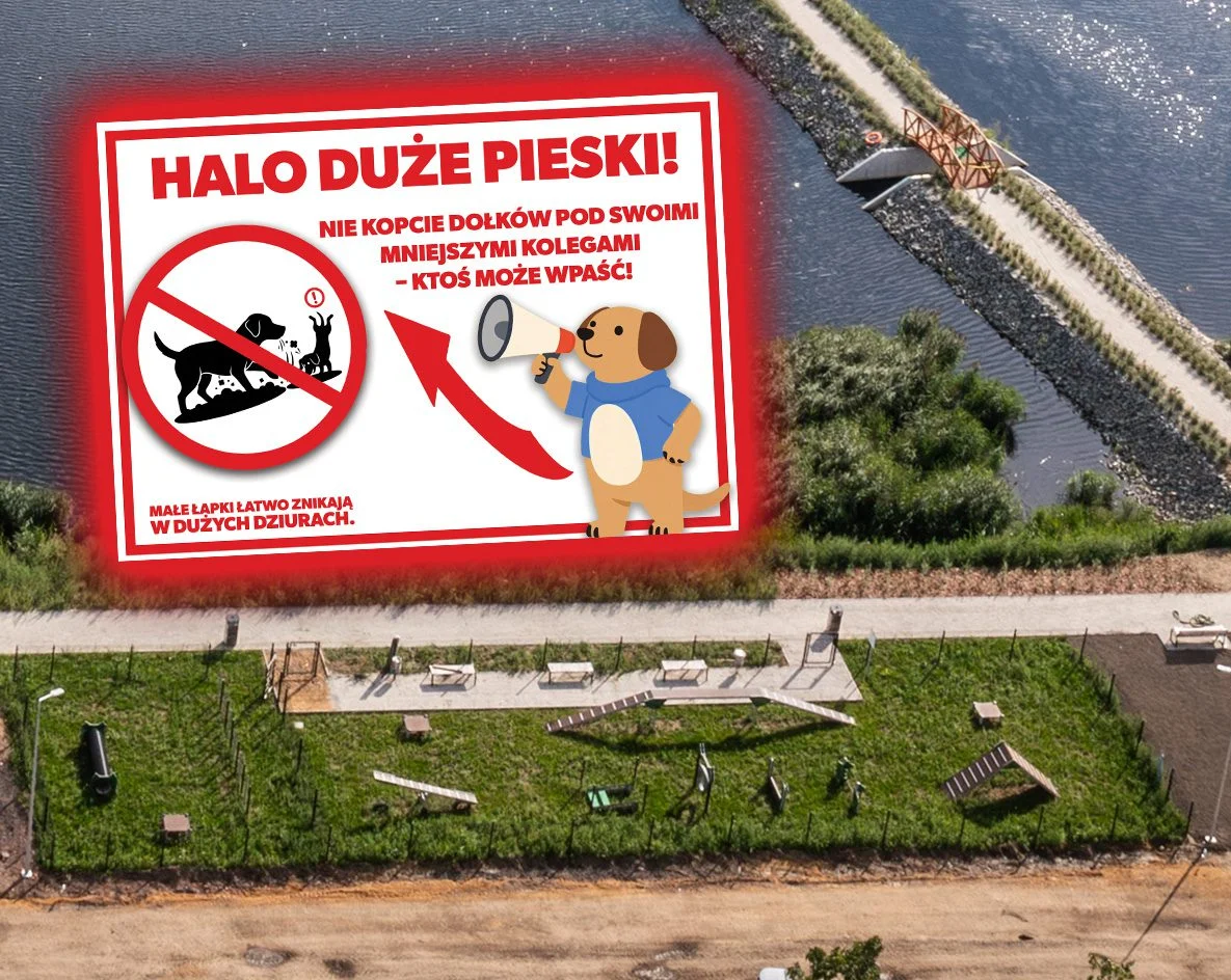 Wybieg przy Stawie Kalina pod lupą. Miasto apeluje do właścicieli psów