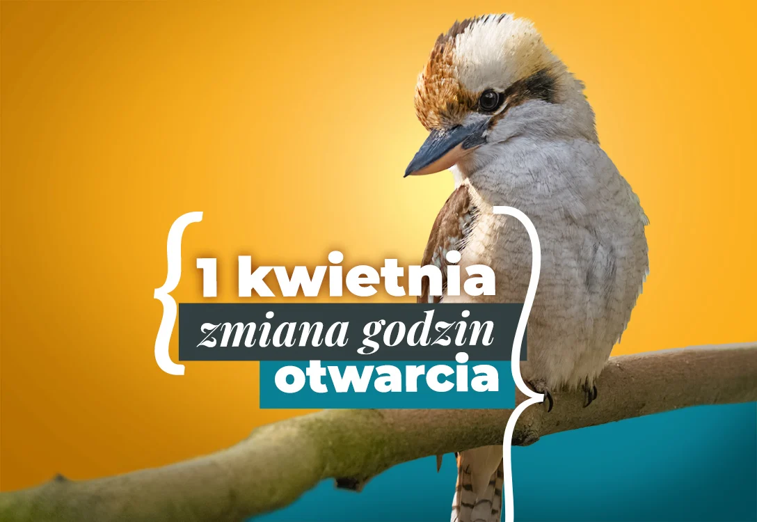 Śląski Ogród Zoologiczny otwarty dłużej. Od 1 kwietnia nowe godziny wejść