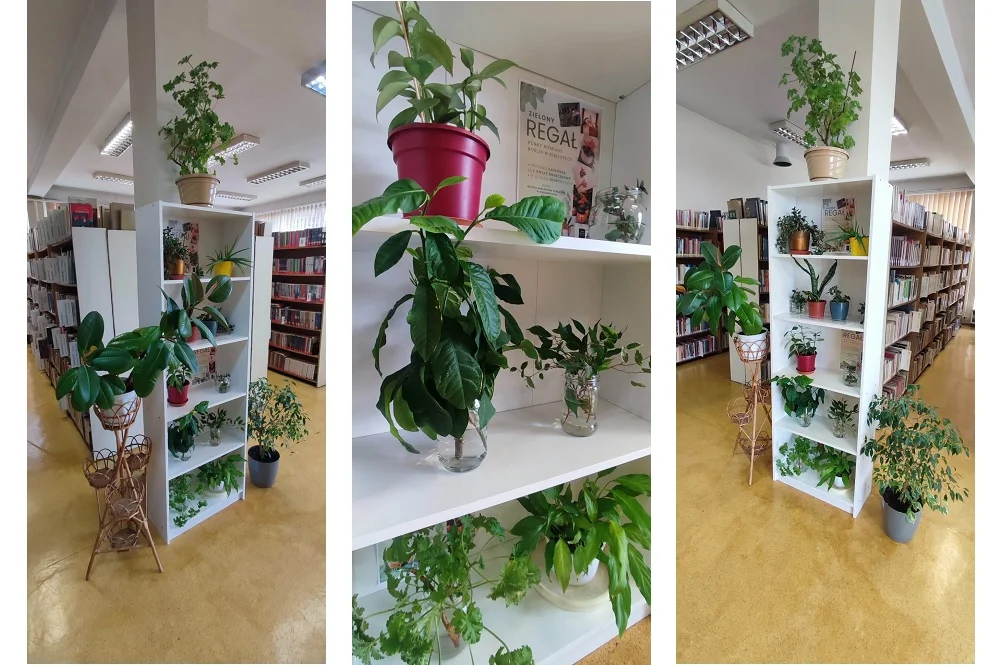 Zielony Regał wrócił do Mysłowic. W bibliotece znów wymienisz rośliny