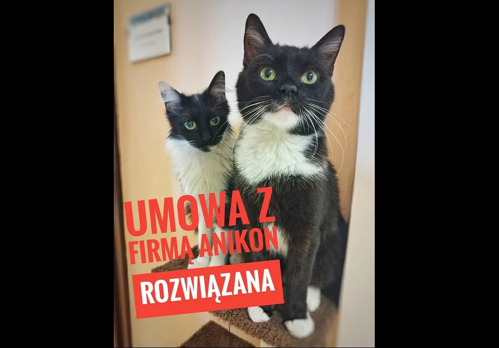 Piekary Śląskie zrywają umowę z Anikonem. Decyzja w trybie natychmiastowym