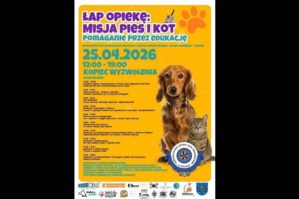 "Łap opiekę" w Piekarach Śląskich. Sprawdź, co przygotowano pod Kopcem Wyzwolenia