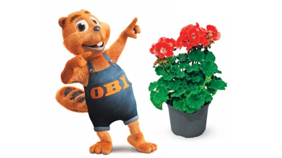 Majówka w Ogrodzie Botanicznym. Odwiedź, zachowaj bilet i odbierz kwiatek