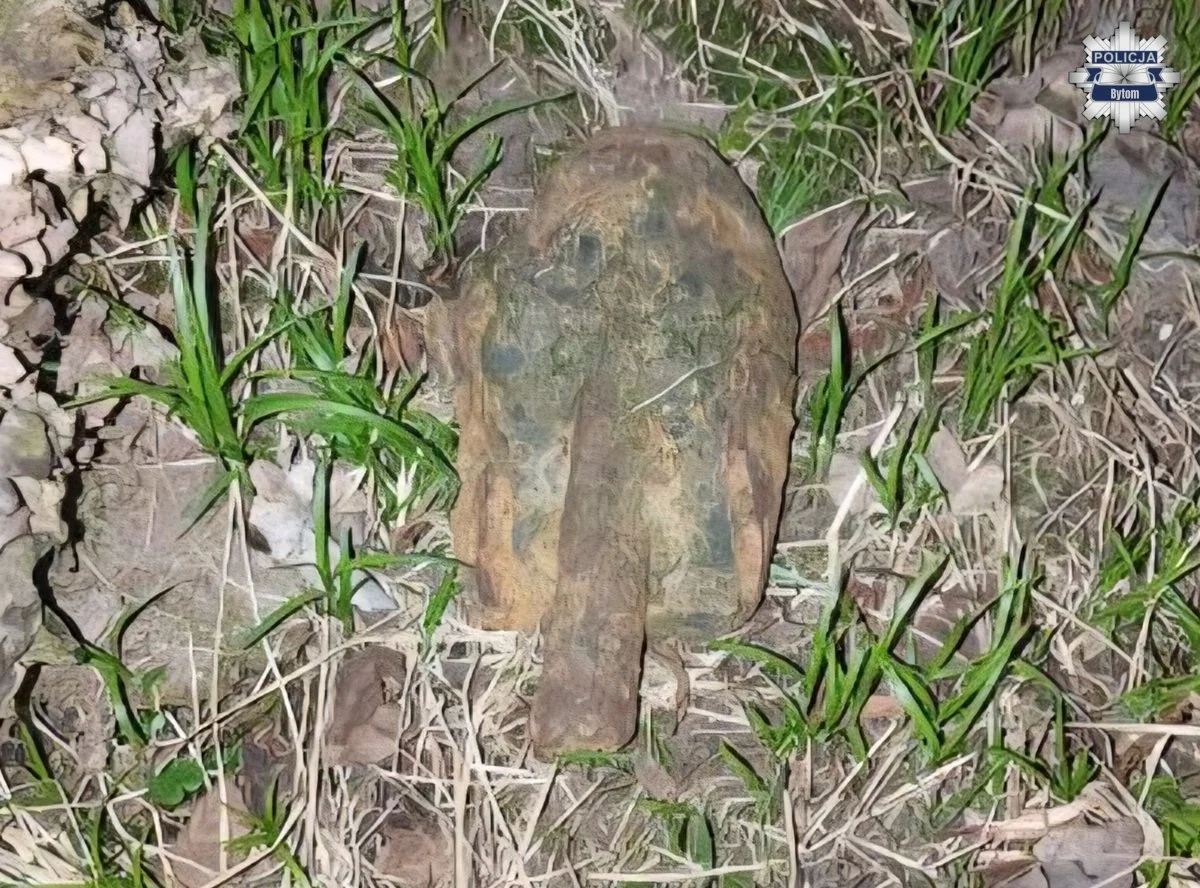 Niewybuch w lesie w Bytomiu. Policja zabezpieczyła pocisk z czasów II wojny światowej