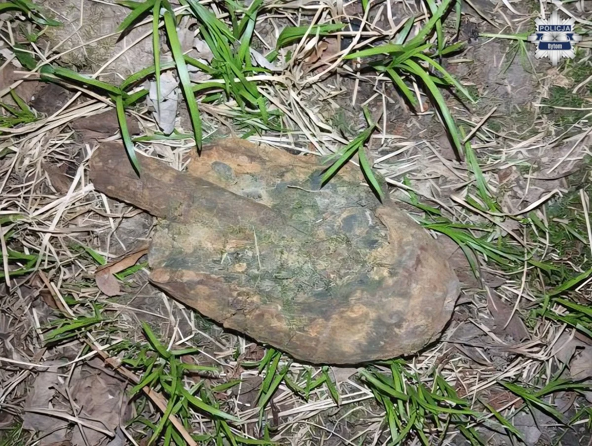 Niewybuch w lesie w Bytomiu. Policja zabezpieczyła pocisk z czasów II wojny światowej / fot. KMP Bytom