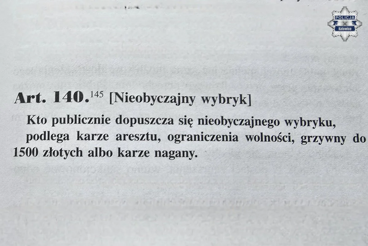 Nieobyczajne zachowanie w Katowicach. Świętochłowiczanin z zarzutem po incydentach na Osiedlu Tysiąclecia
