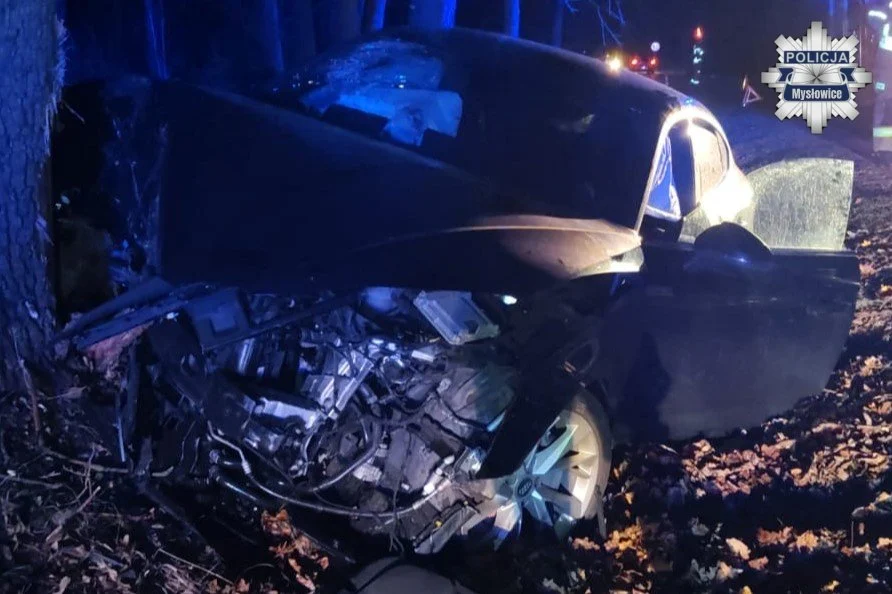 Sarna wbiegła na jezdnię, Audi rozbiło się o drzewo. Groźny incydent w Mysłowicach