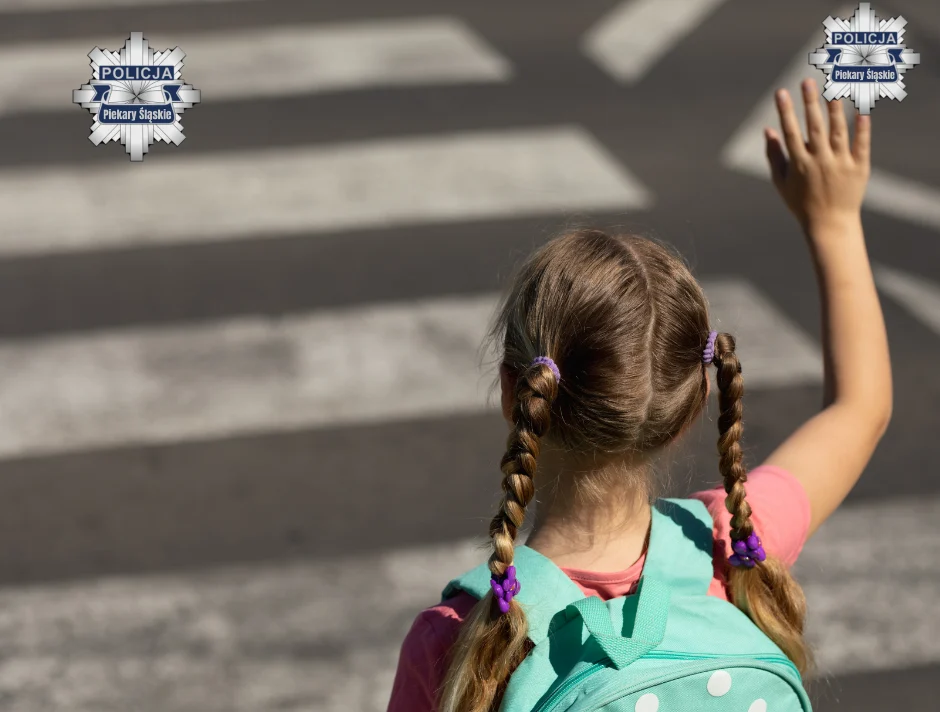 Pierwszeństwo pieszego na pasach. Co naprawdę oznaczają przepisy?