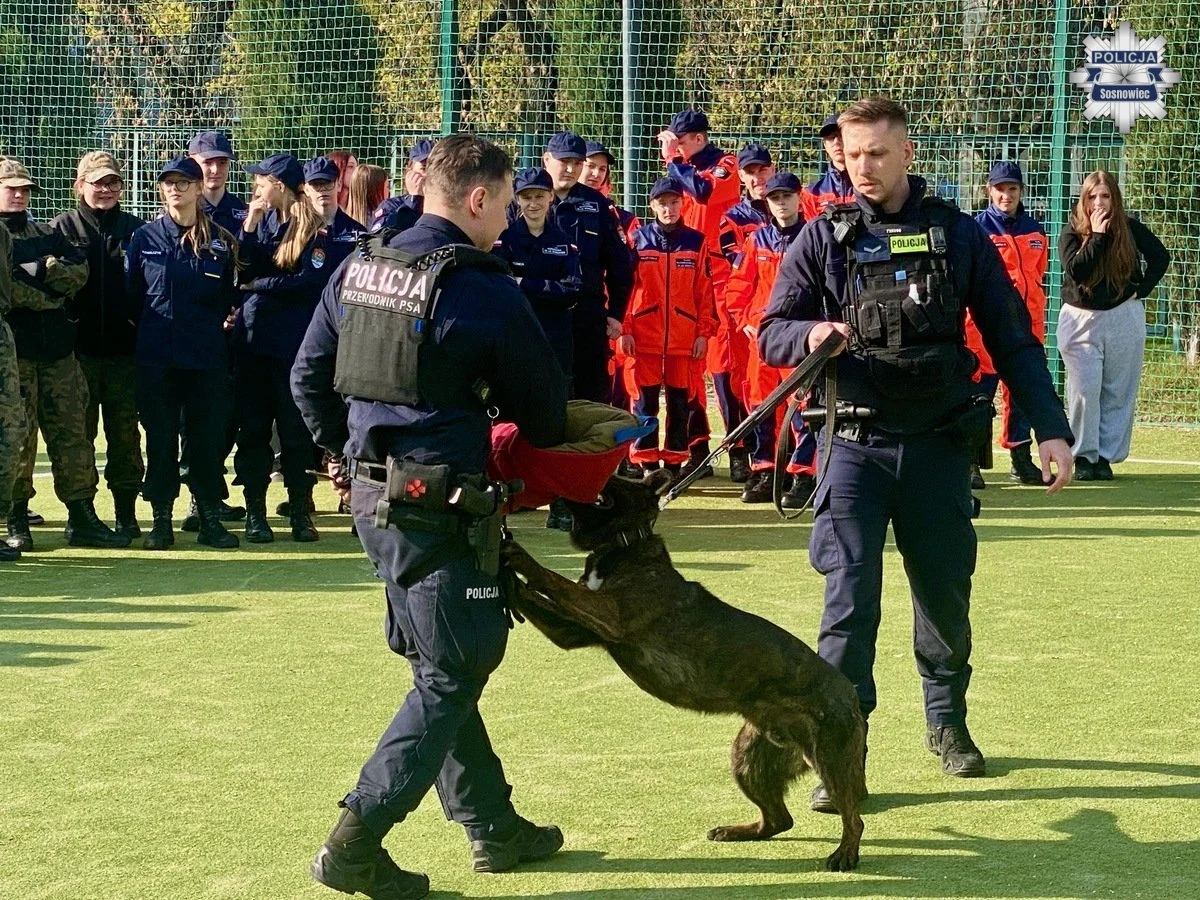Policjanci na Dniach Otwartych VII LO w Sosnowcu. Młodzież poznała służbę w Policji