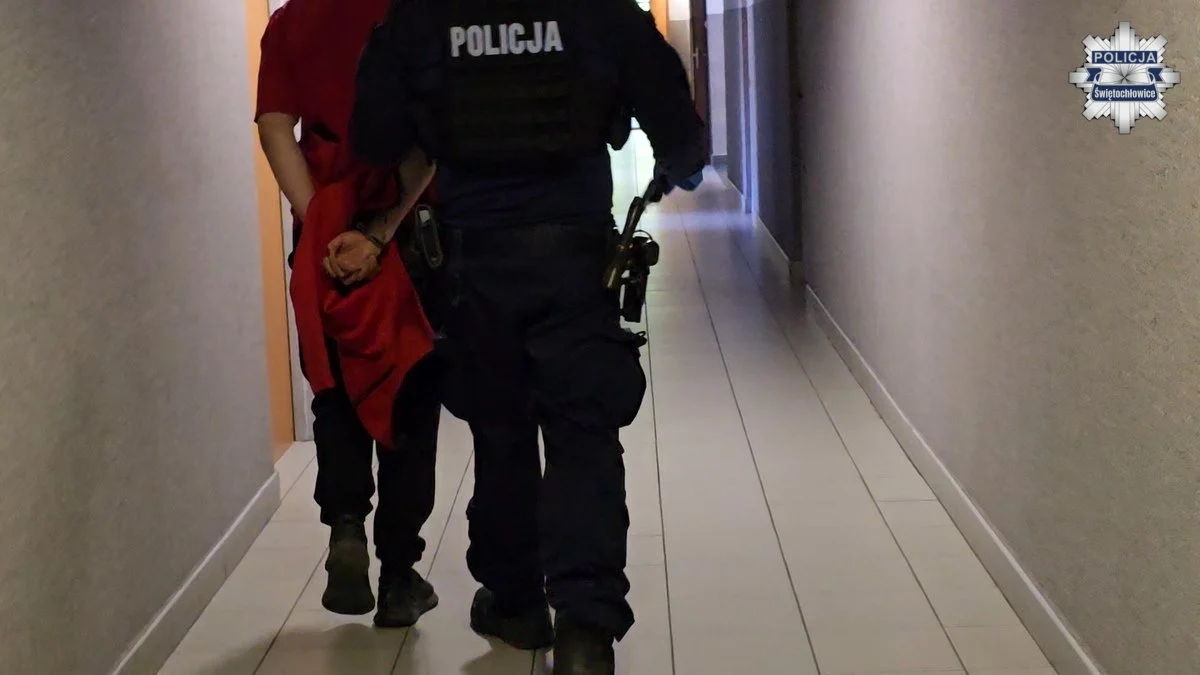 Poszukiwany 29-latek zatrzymany w Świętochłowicach. Usłyszał 7 zarzutów