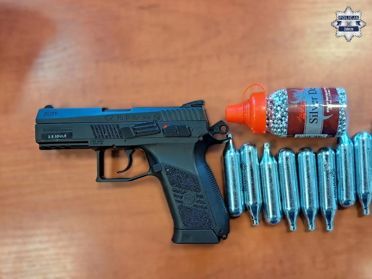 Strzelał do gołębi z okna mieszkania. 76-latek z Zabrza usłyszał zarzut