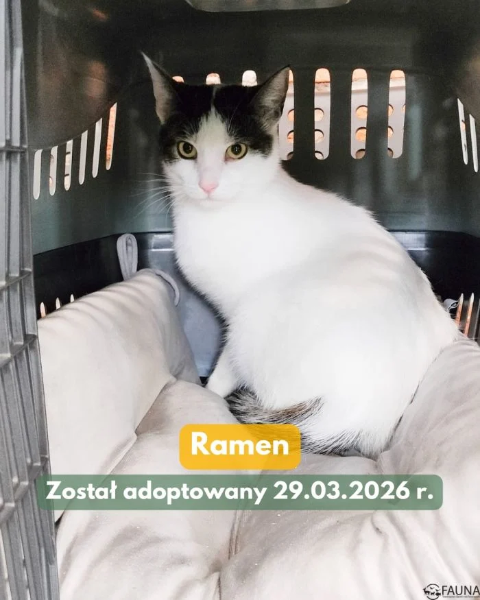 657264302_18004925351890048_3474111856404147526_n