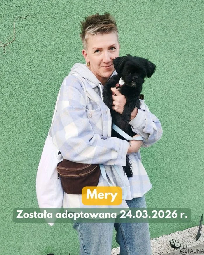 657291443_18004925315890048_858984495374092176_n