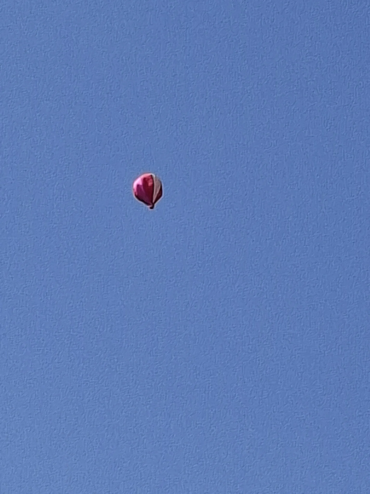 Zawody balonowe w Żorach / fot. MOSiR Żory