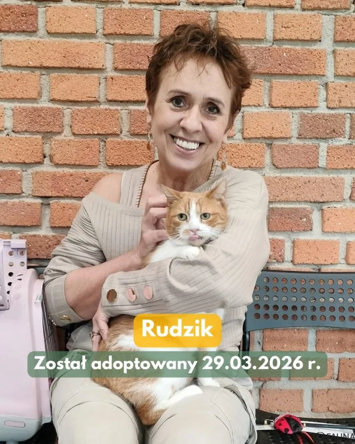 659435062_18004925360890048_6480013888576964497_n