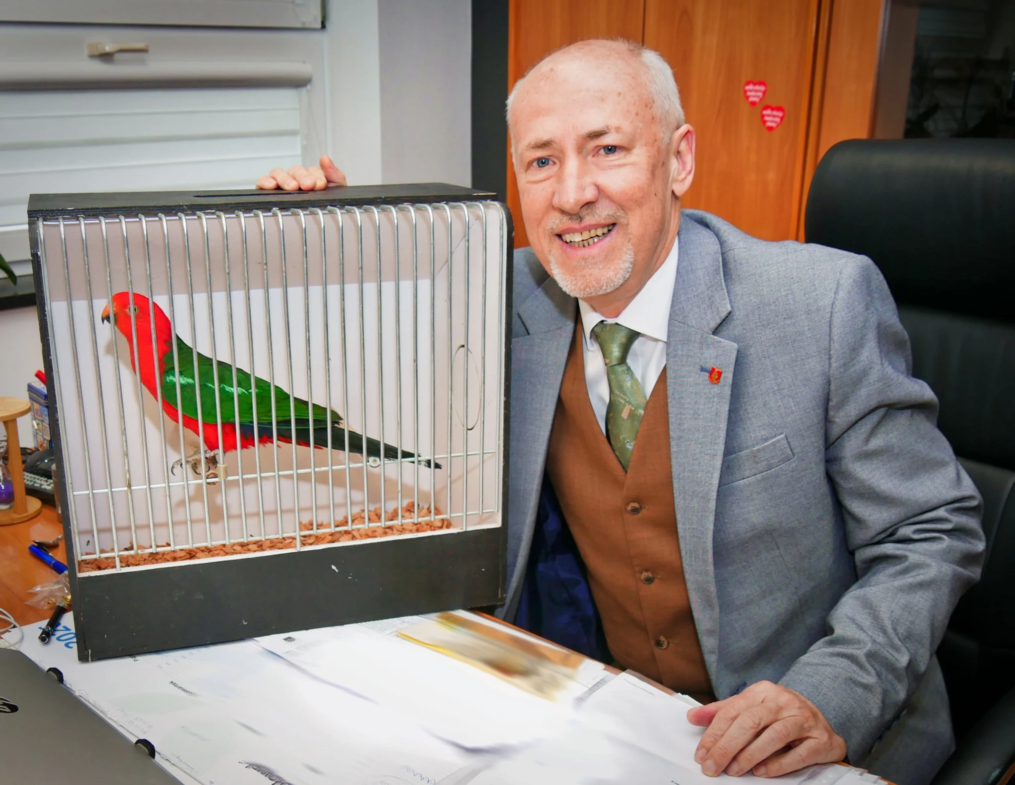 Papuga królewska szkarłatka w Starostwie Powiatowym w Mikołowie – ornitologiczny wicemistrz świata