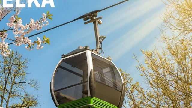 Elka wraca na trasę częściej. Sprawdź nowe dni kursowania w Parku Śląskim