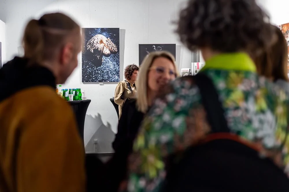 668881123_1401853811968671_5256820795832519787_n